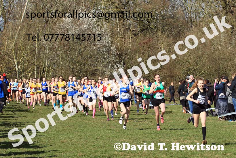 Girls Under-15s 2022 CAU Inter Counties Cross Country, Prestwold Hall, Loughborough.  Photo: David T. Hewitson/Sports for All Pics